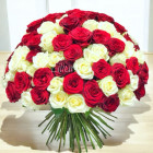 101 красная и белая роза 101 красная и белая роза