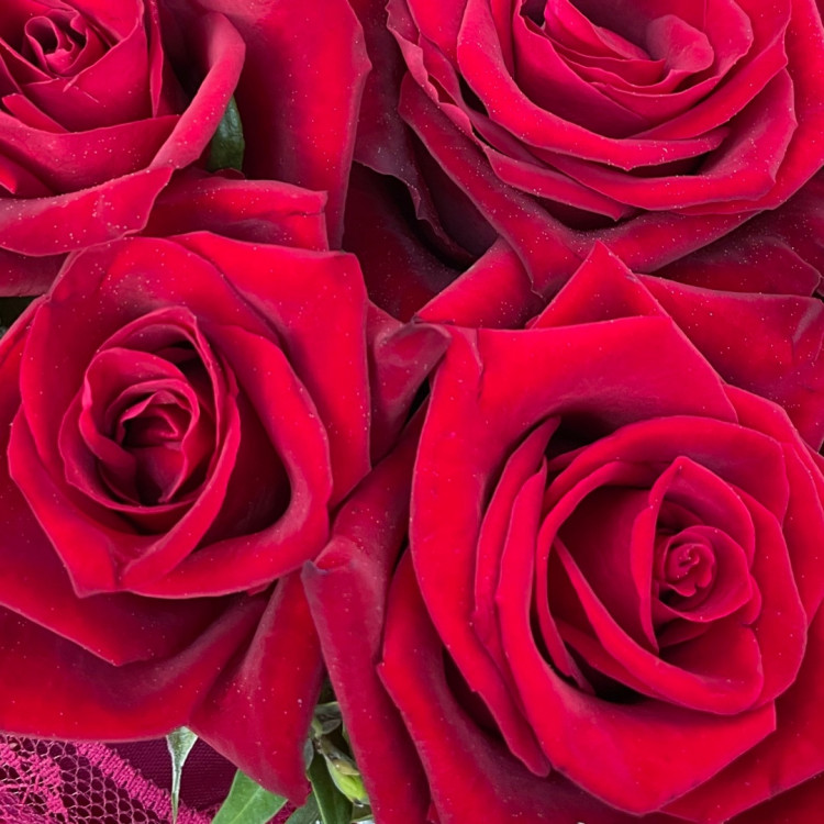 9 красных роз в коробке