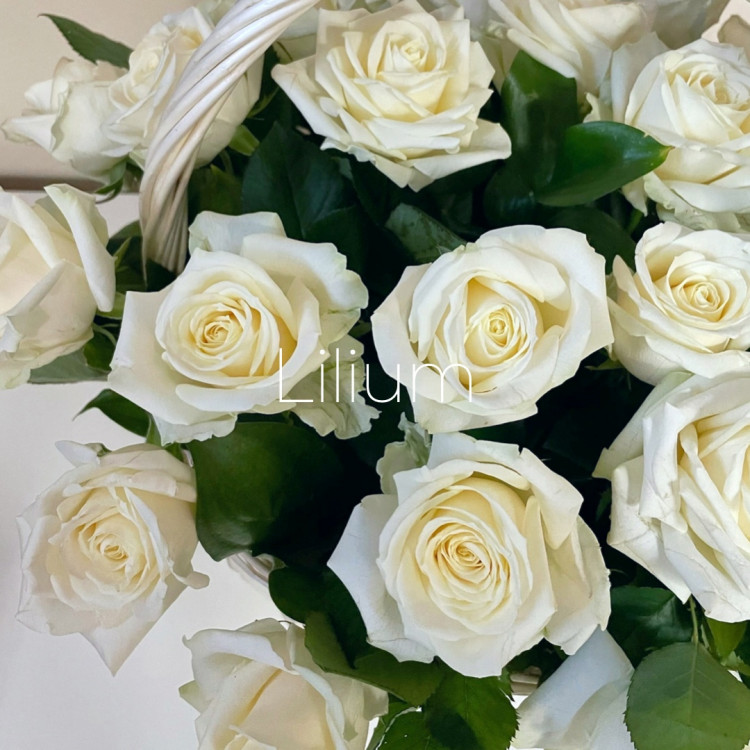 Корзина из 27 белых роз