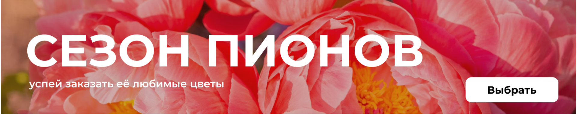 Сезон пионов