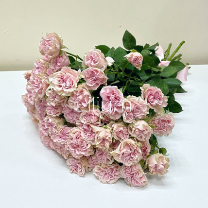 Букет из 13 кустовых роз 