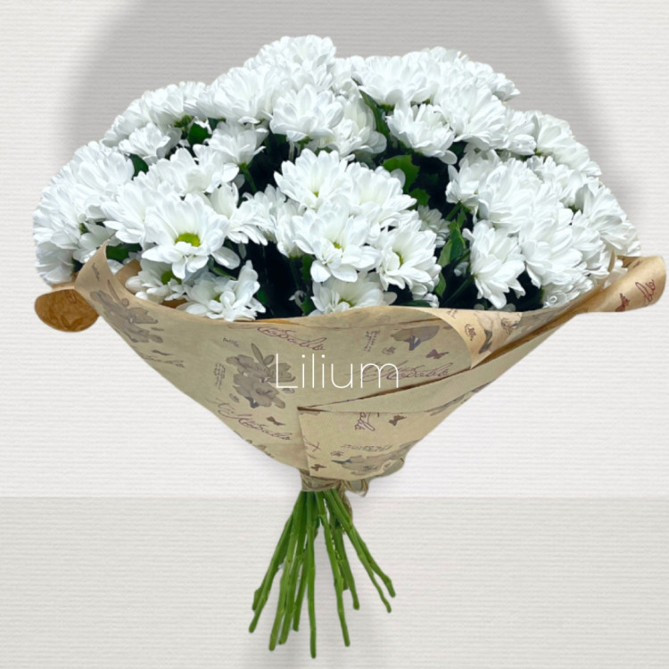 Доставка цветов Щёлково Lilium|Букет из 17 хризантем