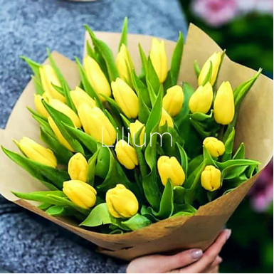 21 желтый тюльпан