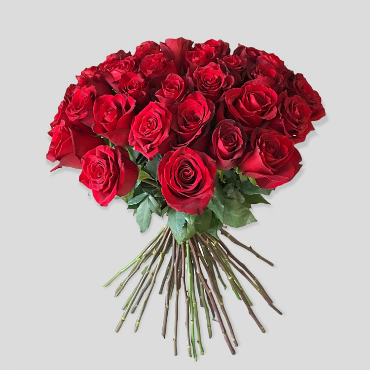 Букет из 39 красных крупных роз