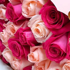 Букет из 49 роз " Твои любимые "