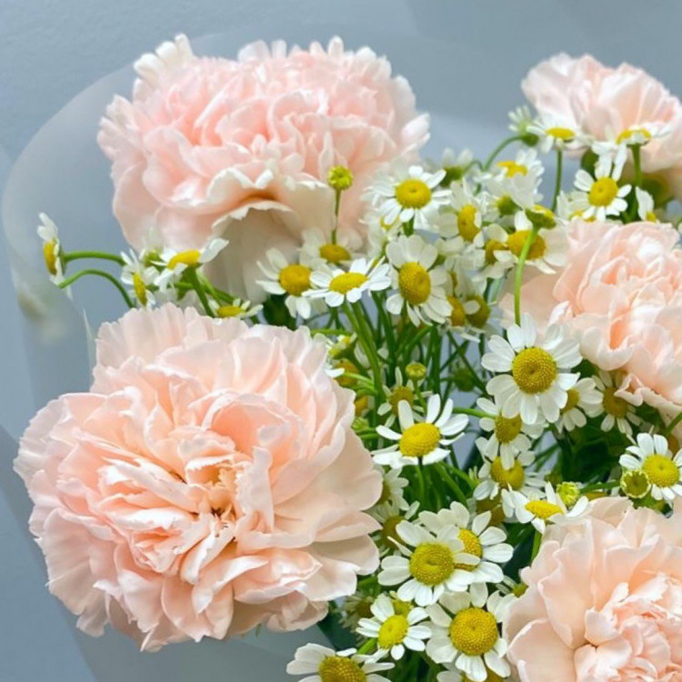 Букет цветов с гвоздикой и ромашкой Букет цветов с гвоздикой и ромашкой