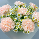 Букет цветов с гвоздикой и ромашкой Букет цветов с гвоздикой и ромашкой