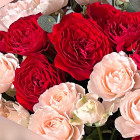 Букет из 11 кустовых роз Букет из 11 кустовых роз