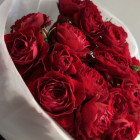 Букет из 7 красных кустовых роз