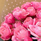 Букет из кустовой розы "Солнечный" Букет из кустовой розы "Солнечный"