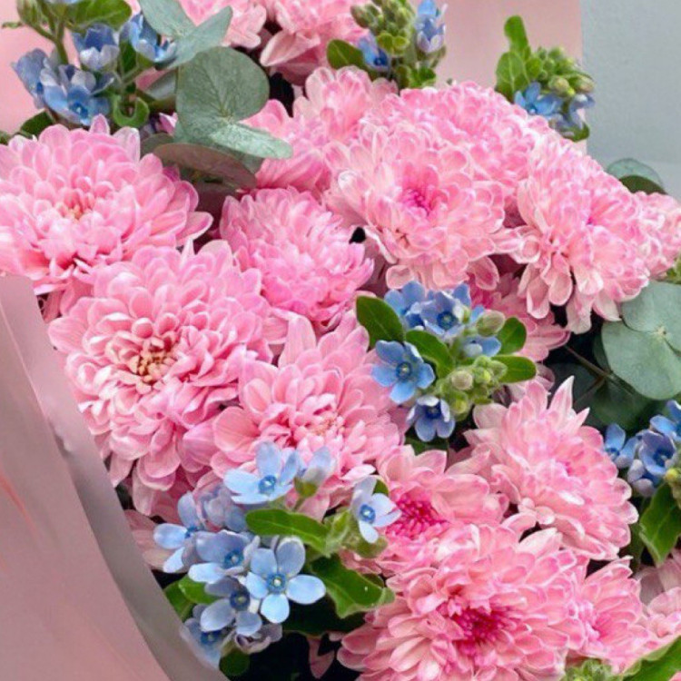 Букет "Незабудка" с хризантемой и оксипеталомом Букет "Незабудка" с хризантемой и оксипеталомом