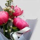 Букет из 3 пионов "Корал"
