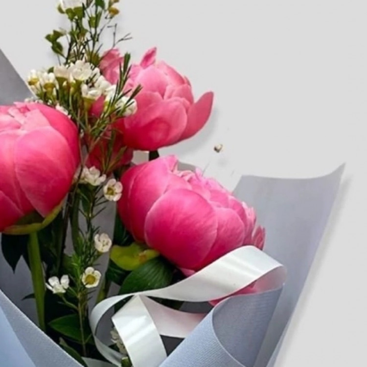 Букет из 3 пионов "Корал"