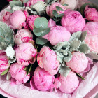 Букет из 25 пионов "Пионовая бомба"