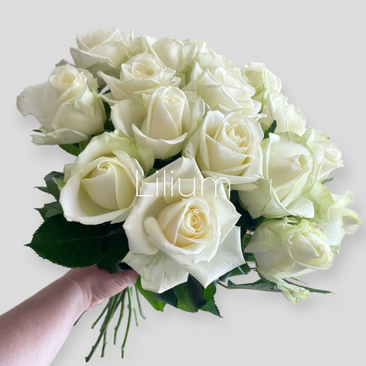 Букет из 17 белых роз 