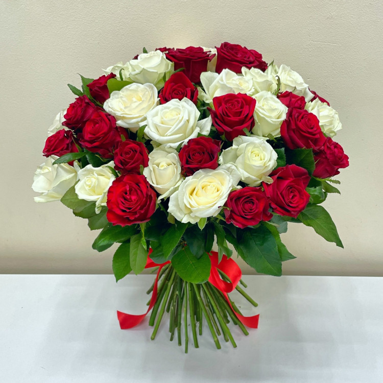 Букет из 55 красных и белых роз 