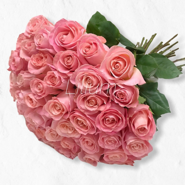 45 пудрово розовых роз